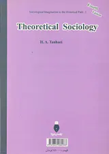 جامعه شناسی نظری
